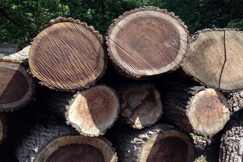 Trải nghiệm thú vị khi sử dụng nội thất gỗ óc chó