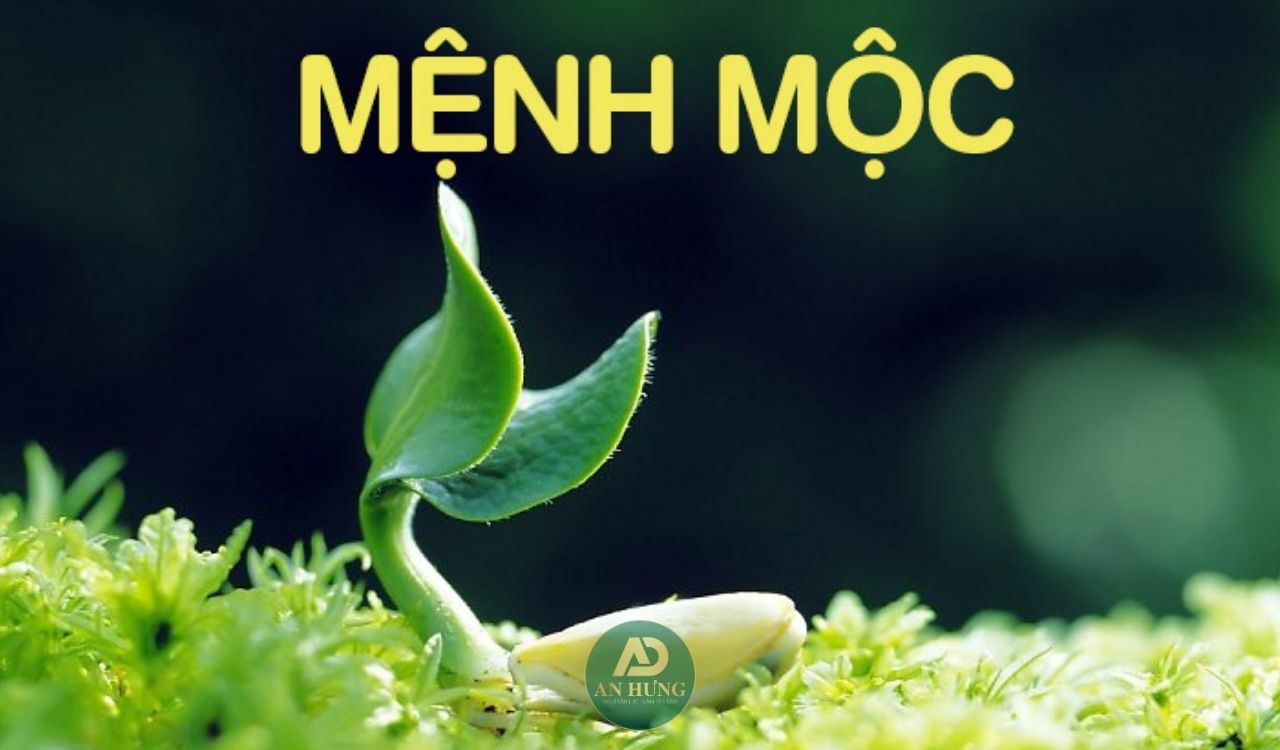 người mệnh Mộc