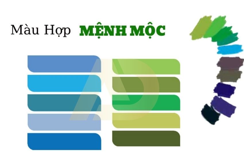 M&agrave;u sắc mệnh  Mộc