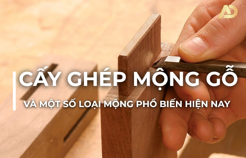 Cách Cấy Ghép Mộng Gỗ và một số loại mộng phổ biến hiện nay