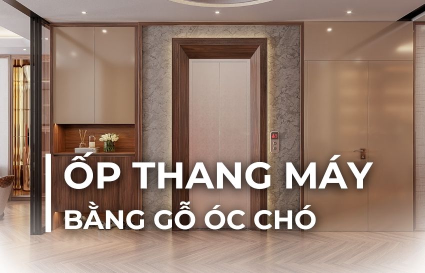 ỐP THANG MÁY BẰNG GỖ ÓC CHÓ ĐẸP