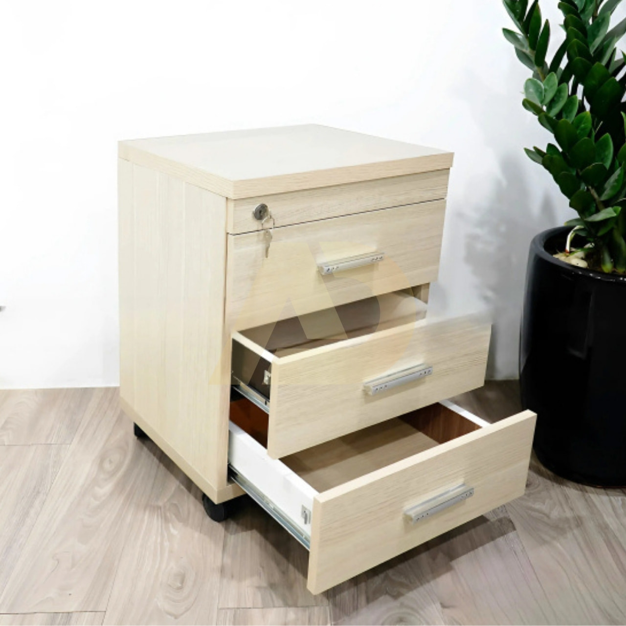 mẫu 10