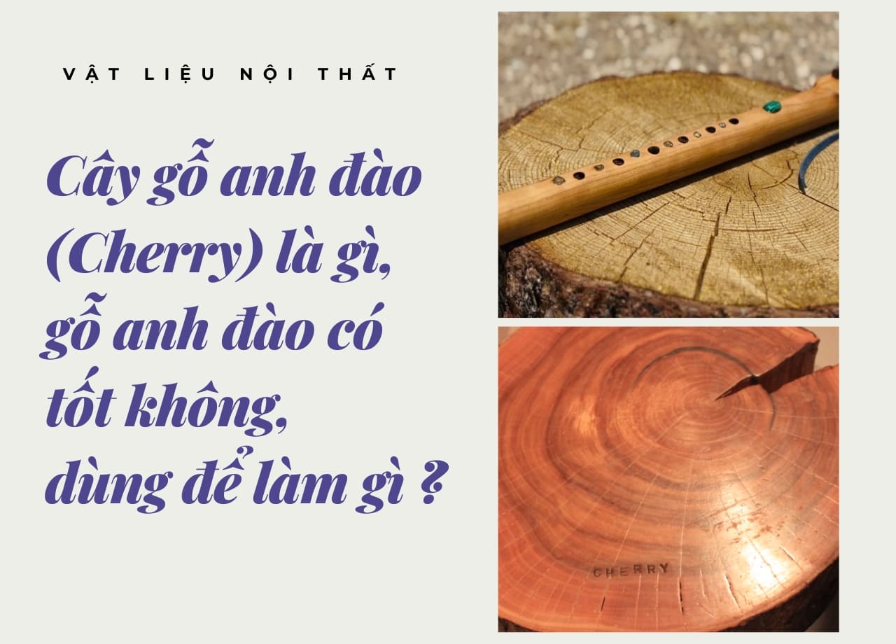 Cây gỗ anh đào(Cherry) là gì, gỗ anh đào có tốt không, dùng để làm gì ?