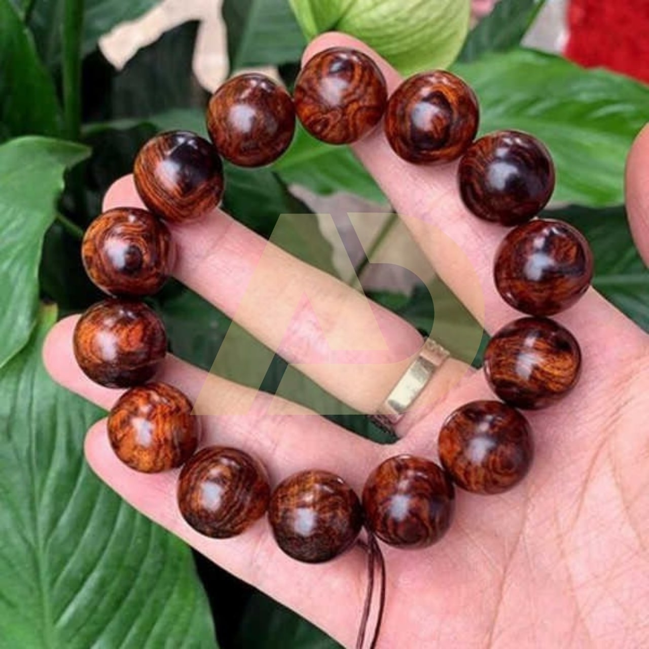 mẫu 22