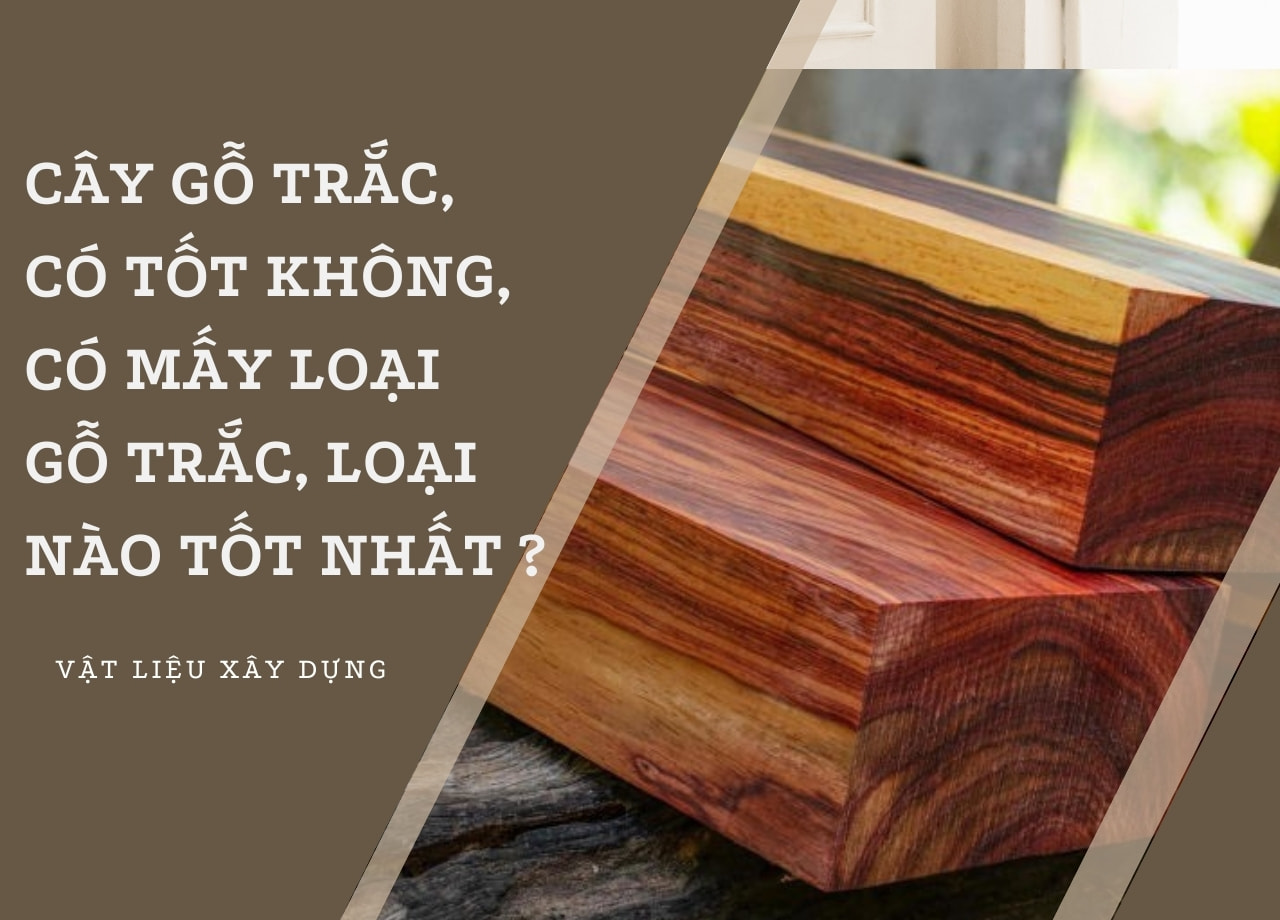Cây gỗ trắc, có tốt không, có mấy loại gỗ trắc, loại nào tốt nhất??