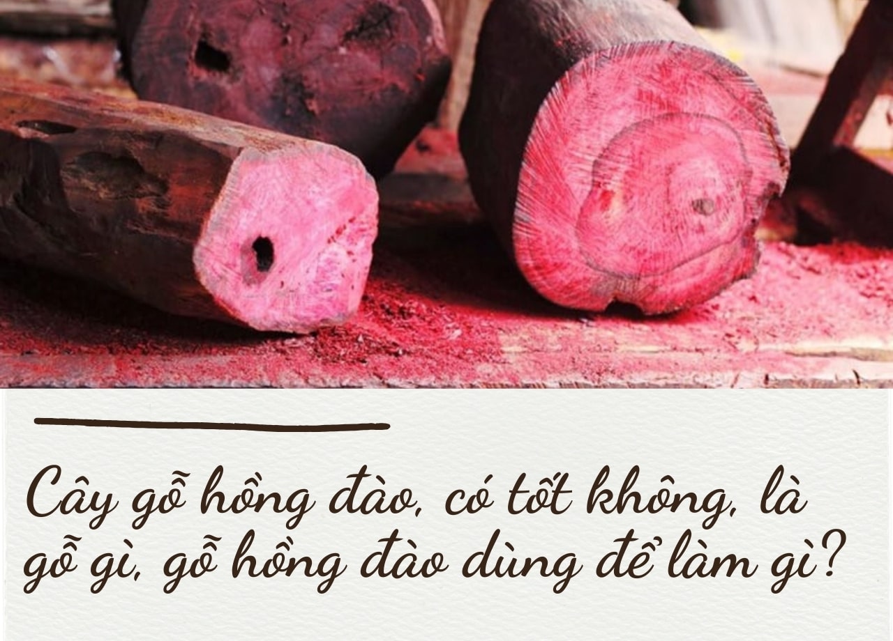 Cây gỗ hồng đào, có tốt không, là gỗ gì,  gỗ hồng đào dùng để làm gì?