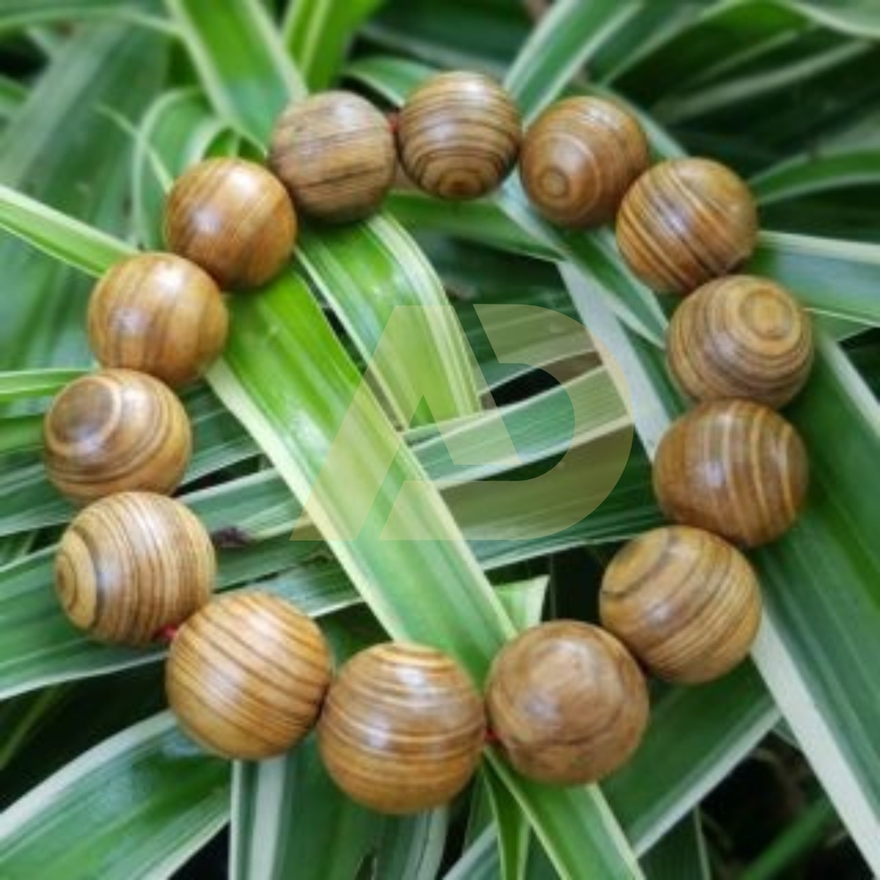 mẫu 18