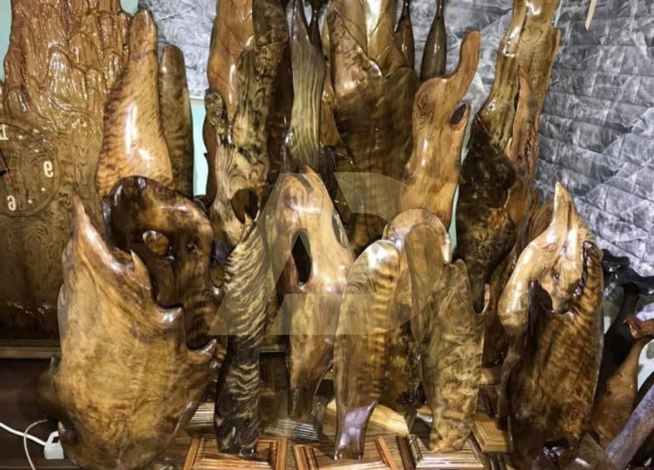 mẫu 10