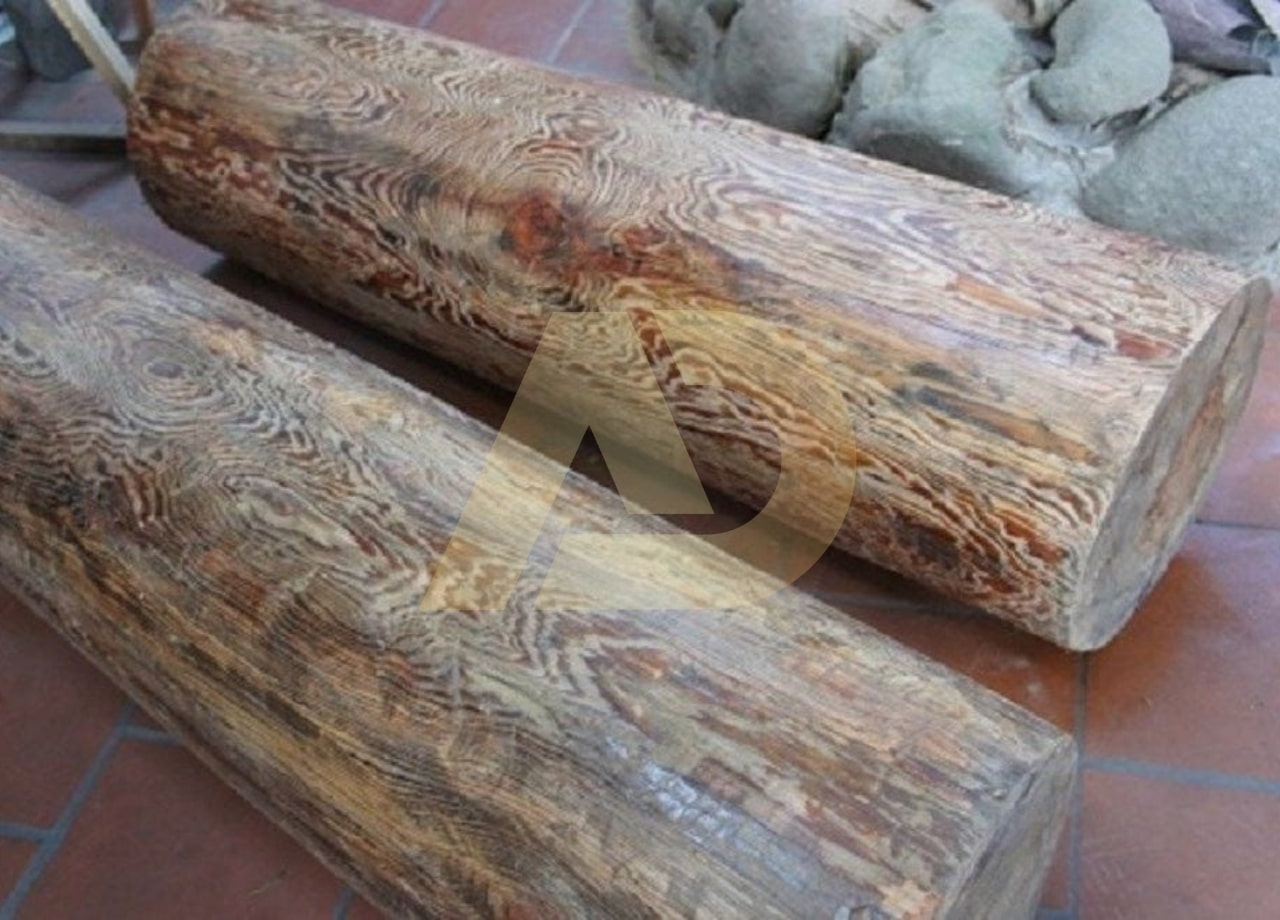 mẫu 5