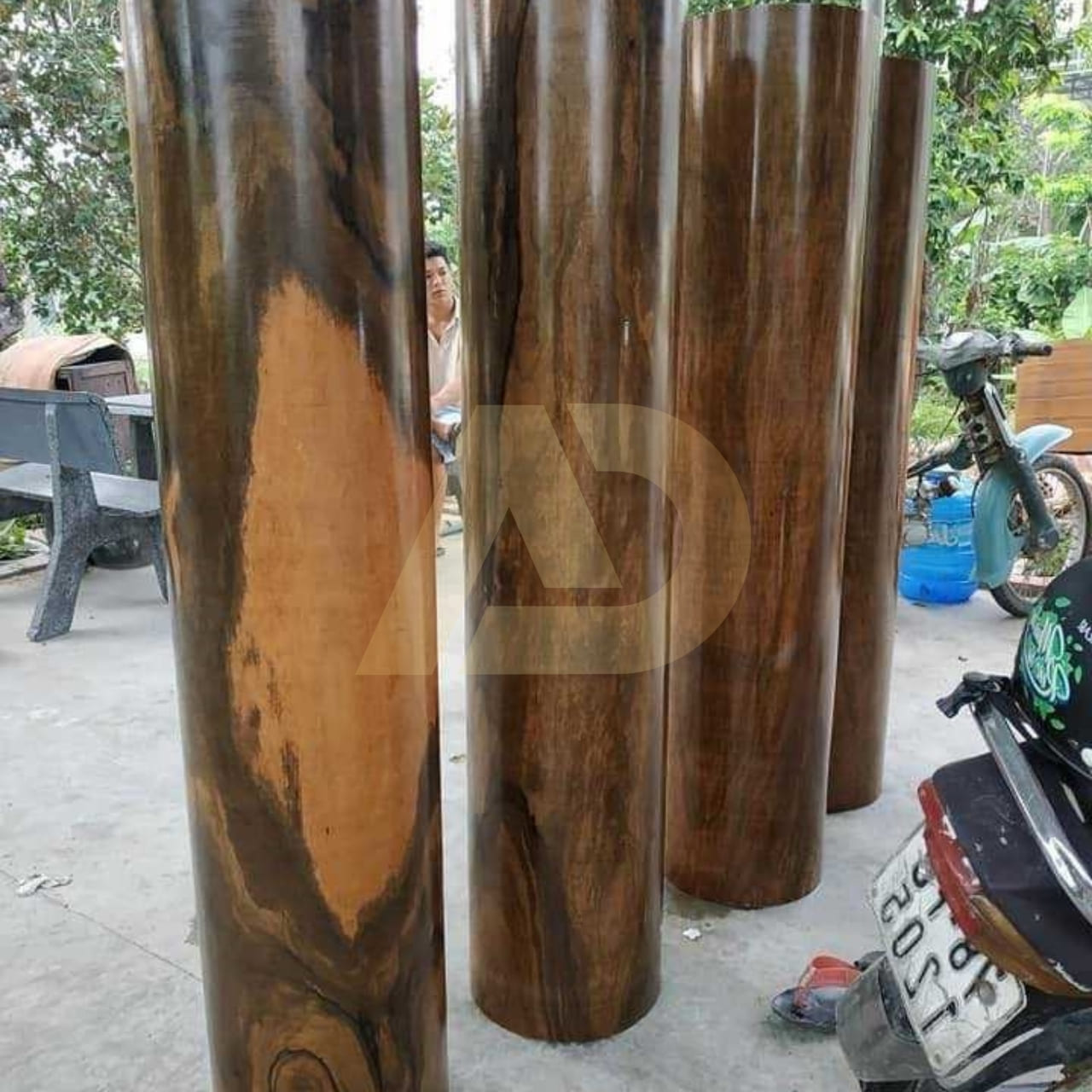 mẫu 5