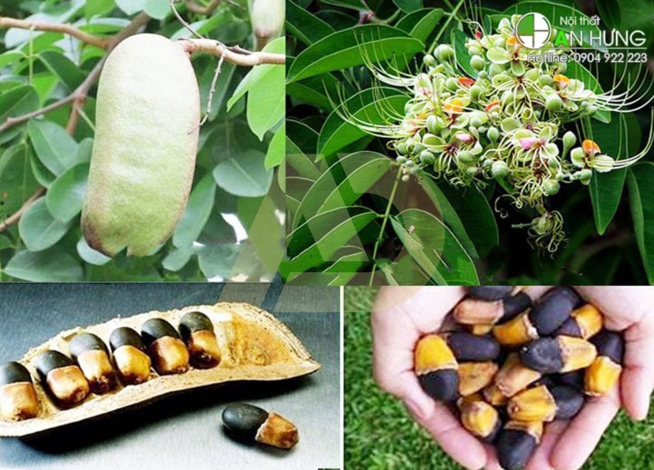 mẫu 3