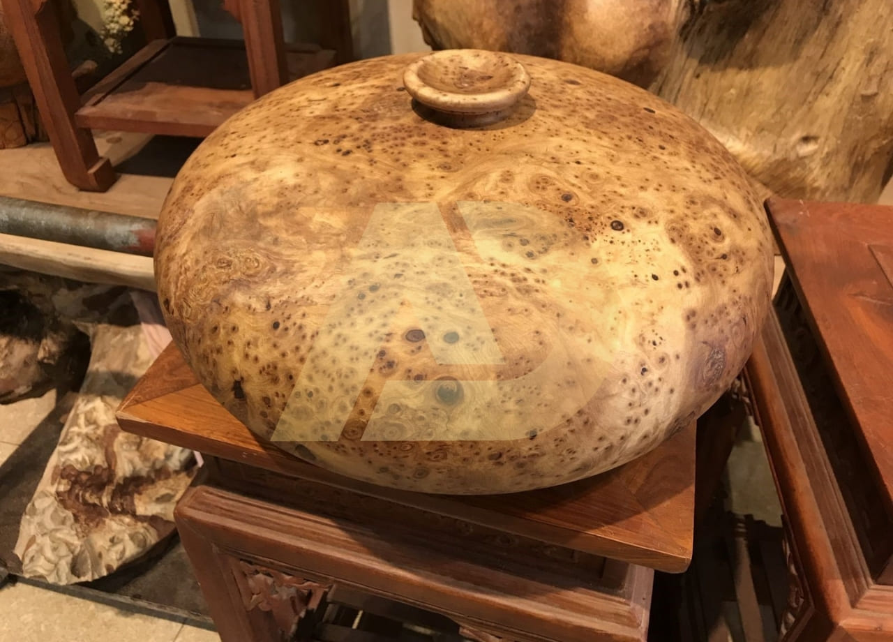 mẫu 6