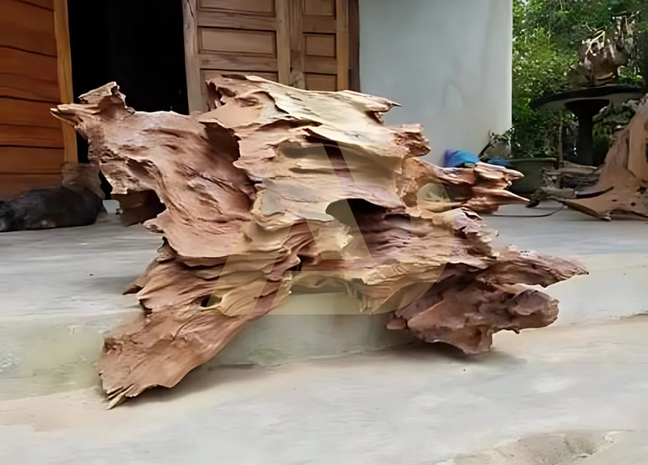 mẫu 14