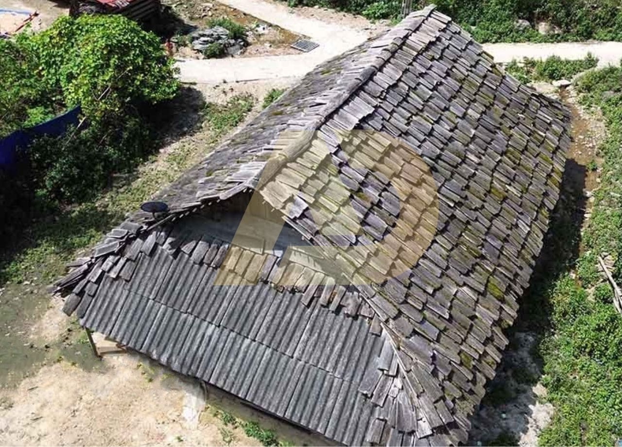 mẫu 12