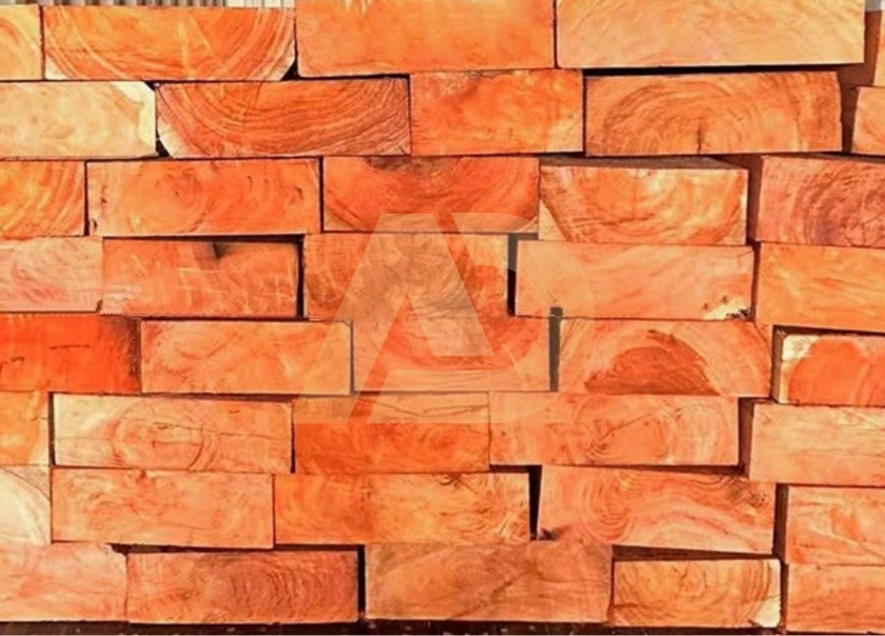 mẫu 7