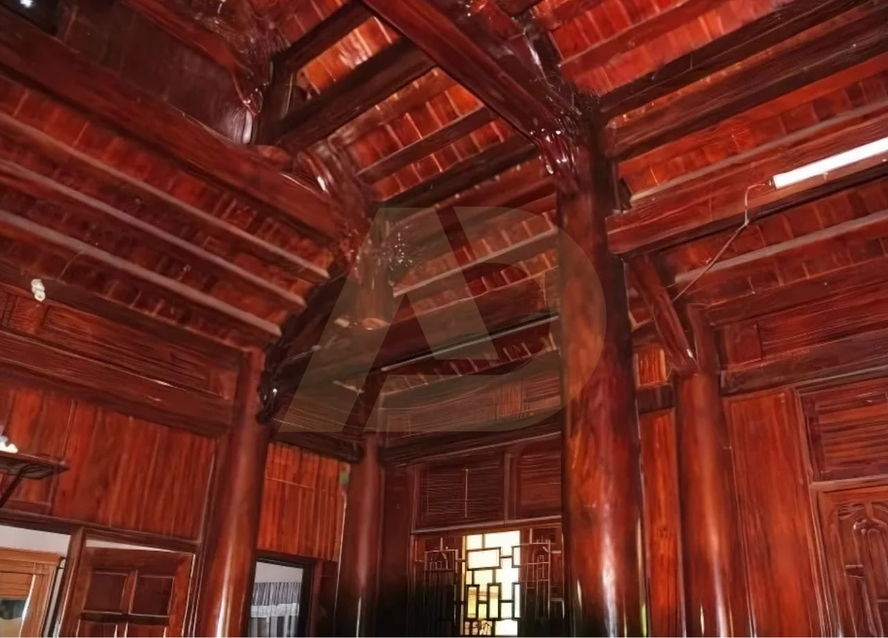 mẫu 19