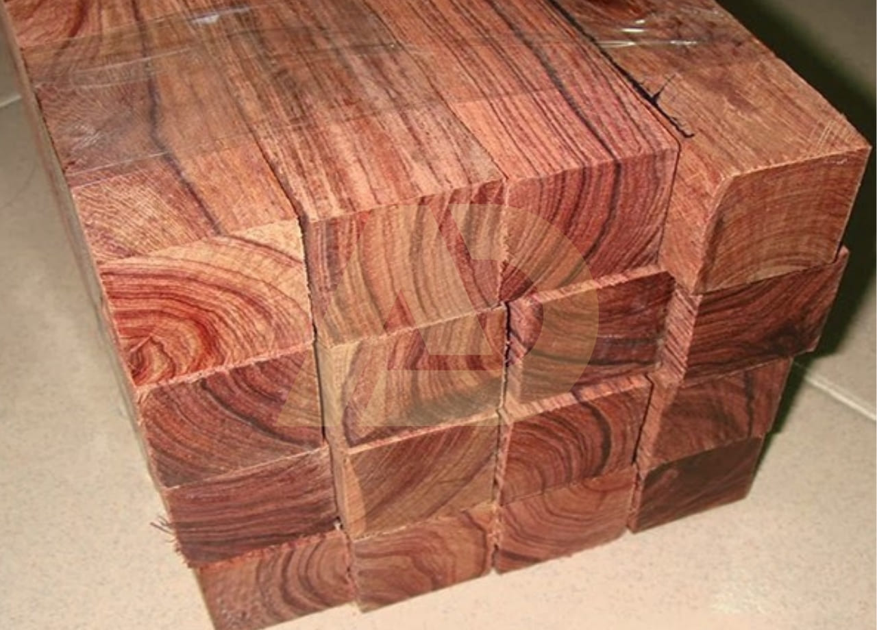 mẫu 10