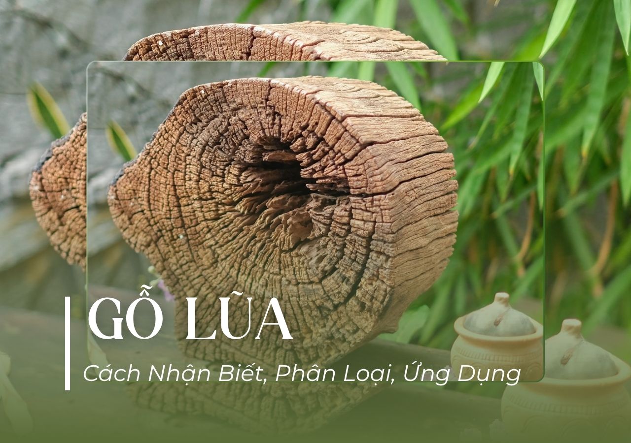 Gỗ lũa là gỗ gì? có mấy loại? gỗ lũa dùng để làm gì, có tốt không ?