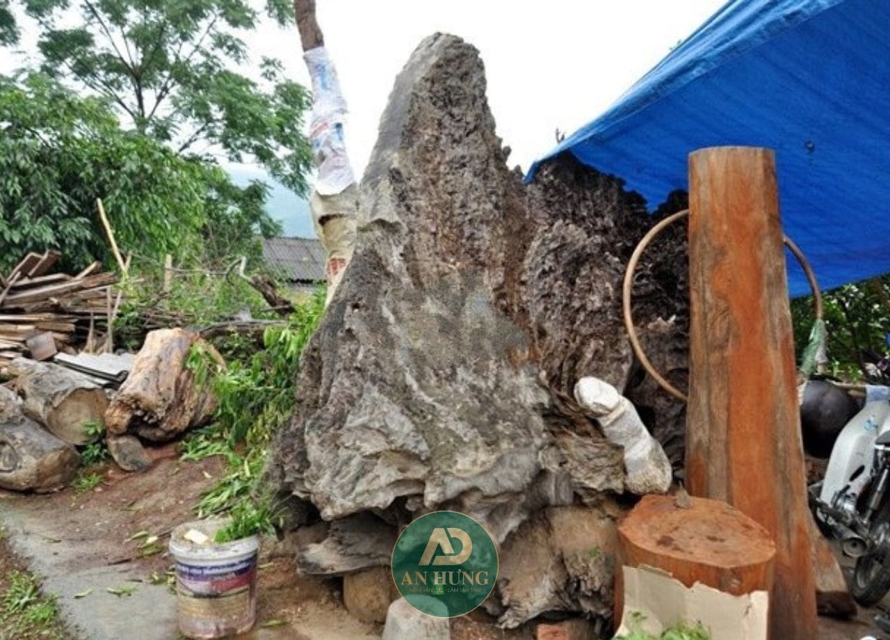 gỗ g&ugrave; gương thuộc nh&oacute;m vi